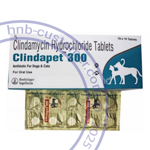 clindapet photo