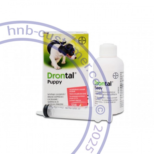 drontal-puppy photo