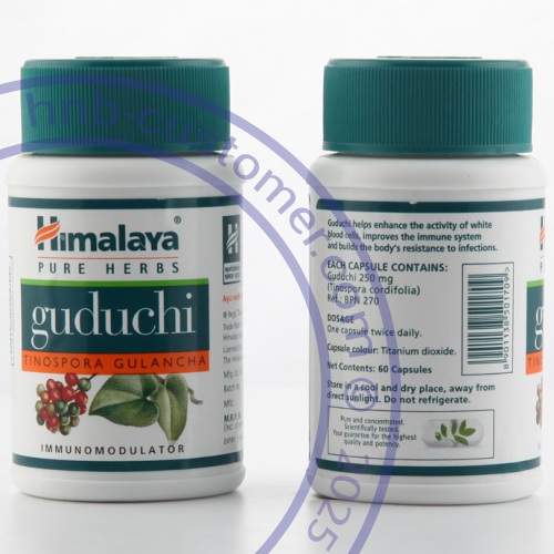 guduchi photo