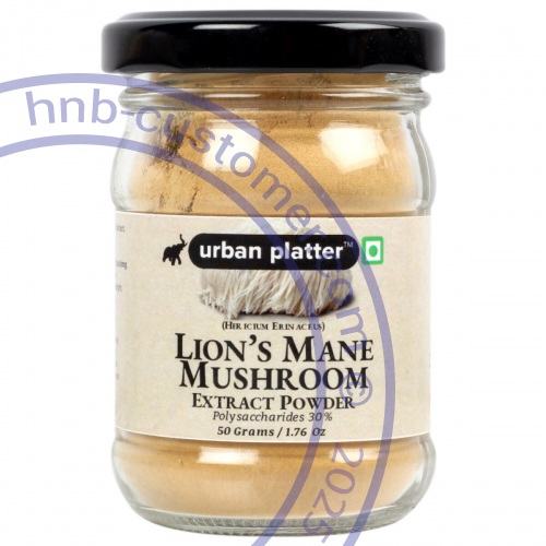 lions-mane-mushroom-powder photo